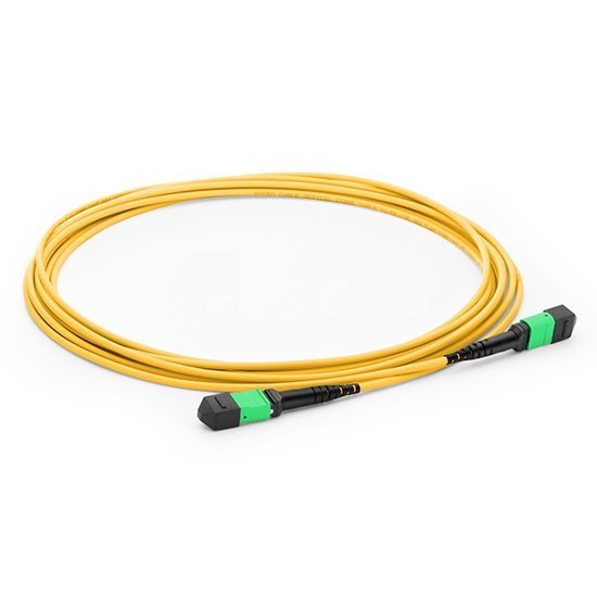 MPOMTP Trunk Patch Cord